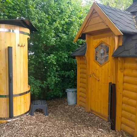 Bed and Breakfast Sterrenzicht Bb Weidszicht Doezum Zewnętrze zdjęcie