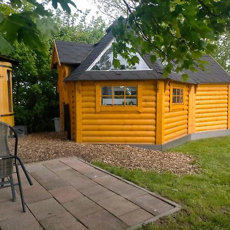 Bed and Breakfast Sterrenzicht Bb Weidszicht Doezum Zewnętrze zdjęcie